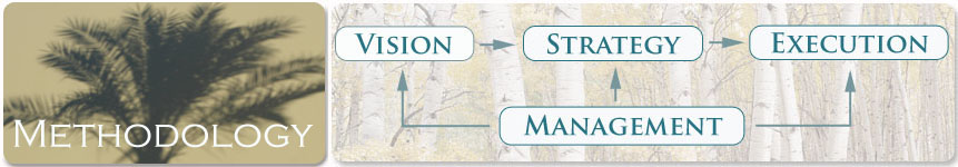 Methodology Overview: Vision, Strategy, Management and Execution