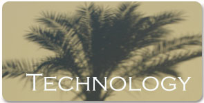 Information Technology Services and Consulting